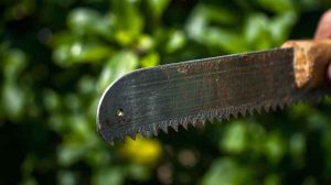 pruning saw