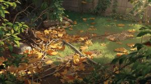 yard clean up